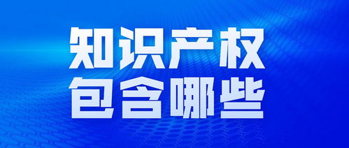 專利申請中的風險防范 如何識別“黑代理”與虛假廣告陷阱